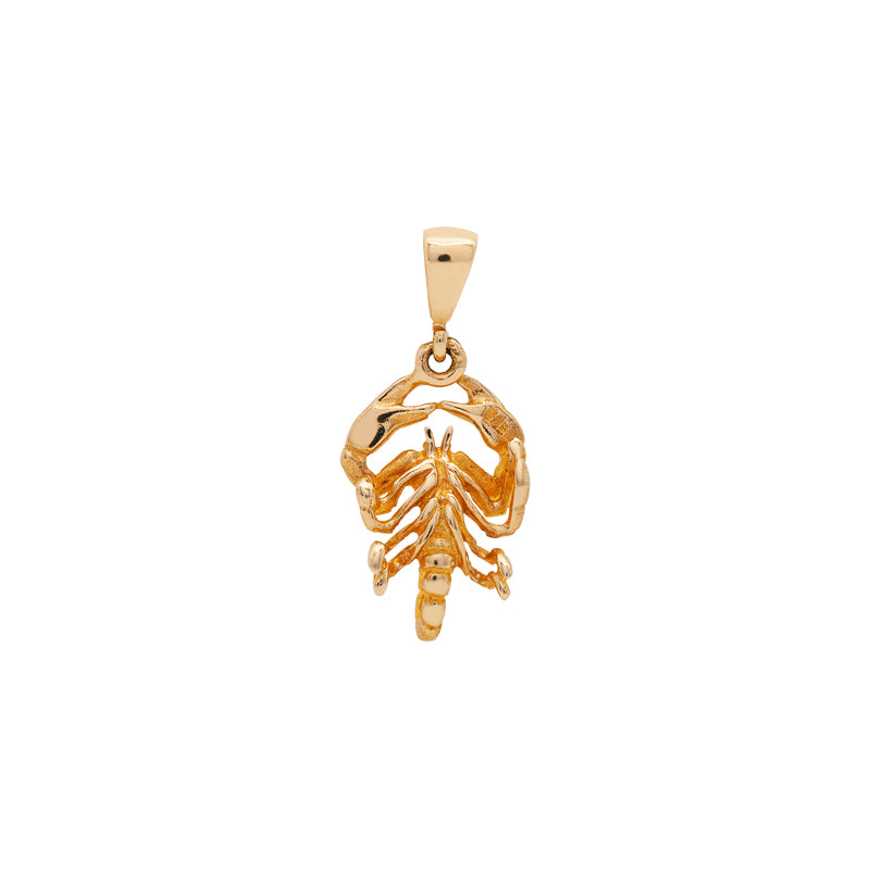 Solid 14 Carat Yellow Gold Scorpion Charm, 3.6g